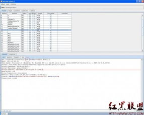 Burp Suite工具使用之二 Intruder模块在网络与信息安全软件开发中的应用